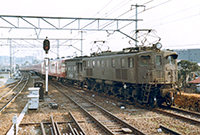 EF1541