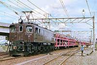 BIN-EF15145