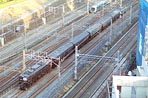 honpo-20010216b