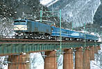 ef5853-EF58175c