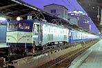 karashima-EF58126