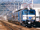 packman-EF58150