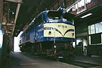 shinohara-EF5839