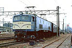 Mr.slim-EF58161