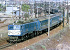 Mr.slim-EF58165