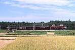 torakichi-EF5861a