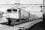 yamaguchi-EF58152